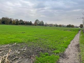 Landbouwgrond Te koop Lochristi