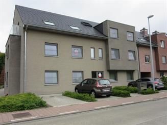 Appartement Te huur Sinaai-Waas