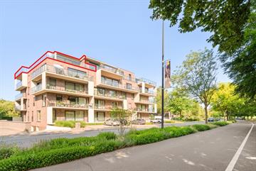 Appartement Te huur Lokeren