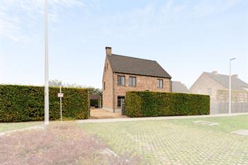 Woning Te huur Lokeren