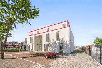 Appartement Te huur Lokeren