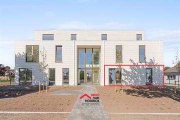 Handelspand Te huur Lokeren