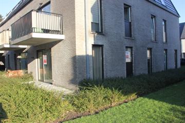 Appartement Te huur Lokeren